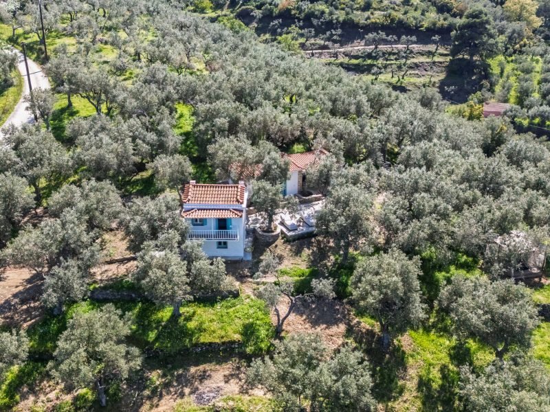 apomero-cottage-photo-15